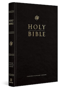 12 The Bible