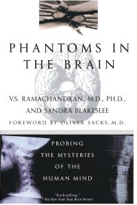 36 Phantoms In The Brain