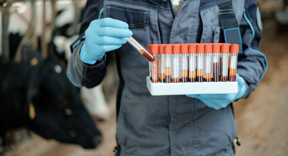 Animal Health Industry Jobs