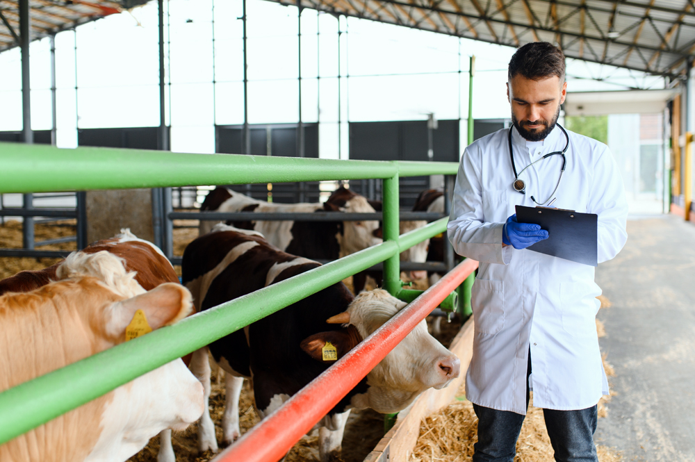 Animal Health Jobs on The People of Animal Health Podcast