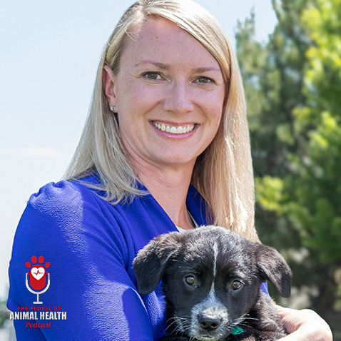 Dr. Karen Shenoy’s Journey From Wildlife Dreams to Veterinary Leadership
