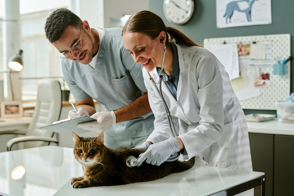 Veterinarian Jobs on The People of Animal Health Podcast