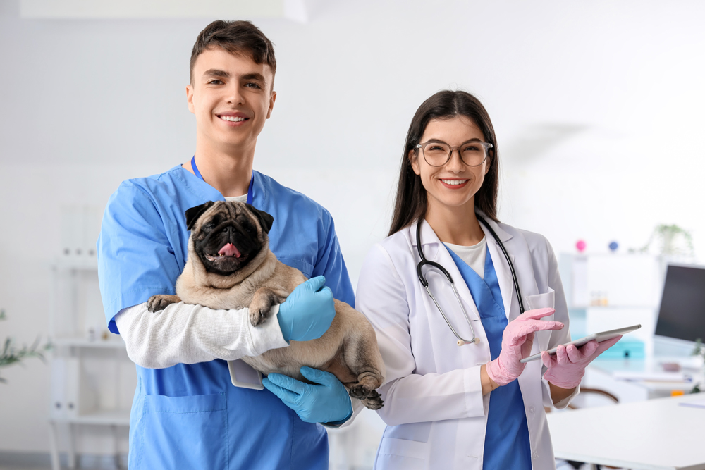 Veterinary Leadership